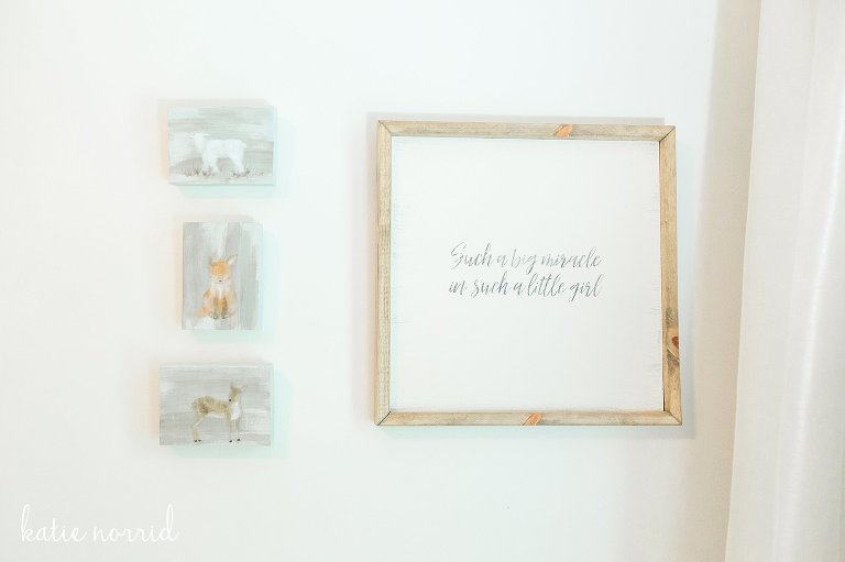 KatieNorridPhotography-Collins_0082