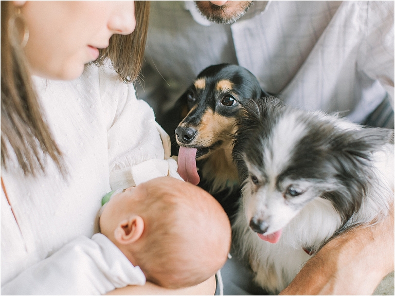 Lifestyle Newborn Session