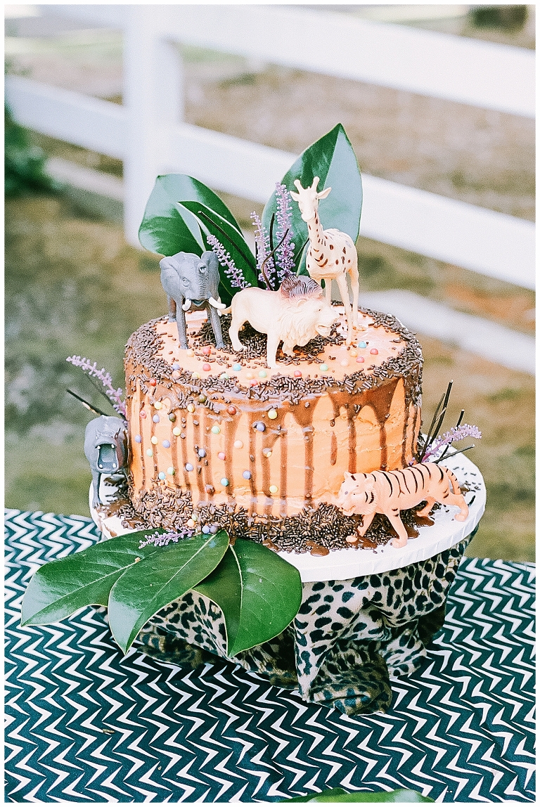 safari birthday party