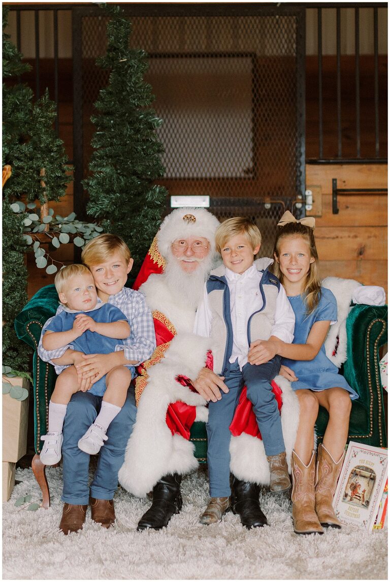 santa mini session