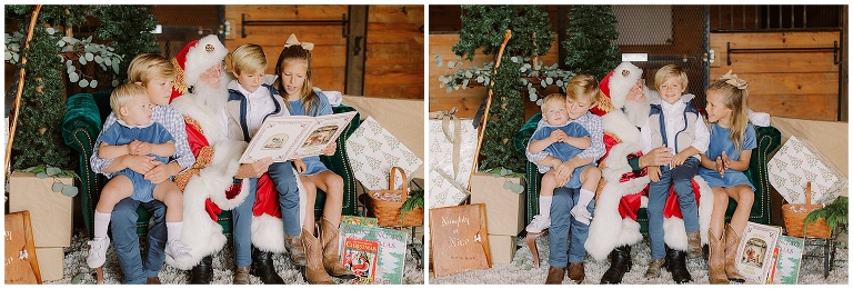 santa mini session